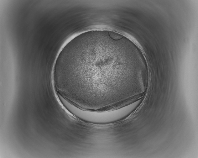 X0000116011440200911251111
