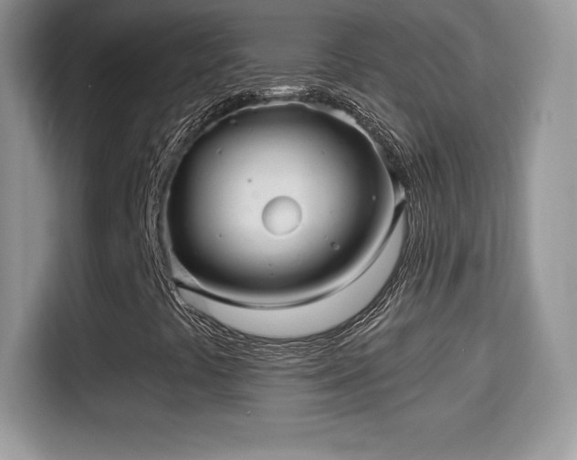 X0000116011441200911251111