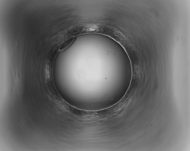 X0000116011442200911251111