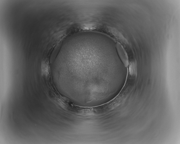 X0000116011444200911251111