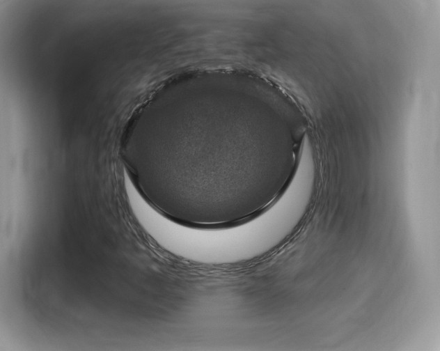X0000116011445200911251111