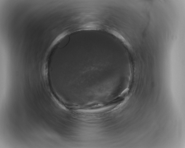 X0000116011450200911251111