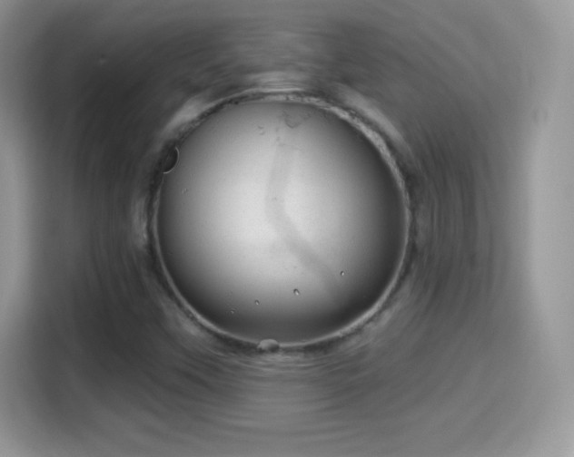 X0000116011451200911251111