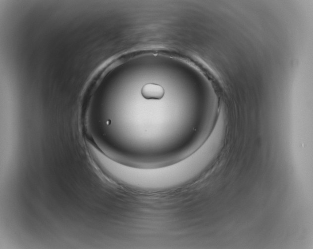 X0000116011452200911251111