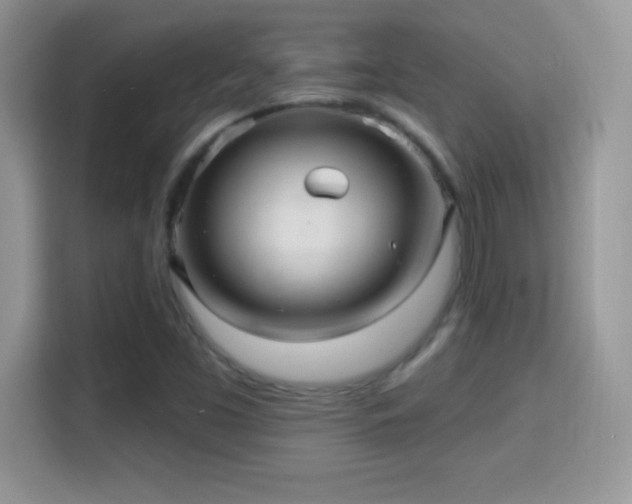 X0000116011453200911251111