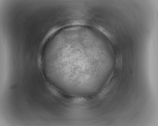 X0000116011454200911251111