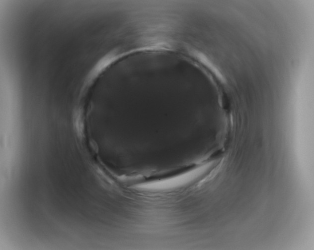 X0000116011455200911251111