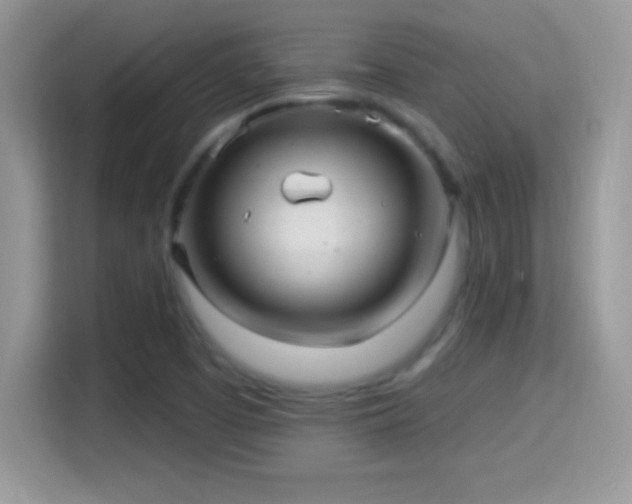X0000116011457200911251111