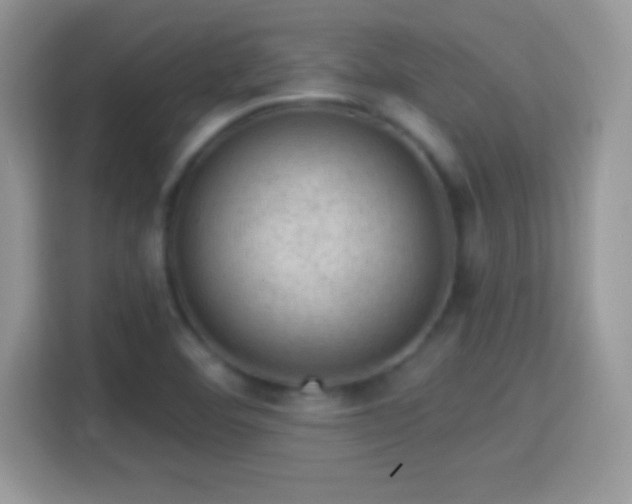 X0000116011460200911251111