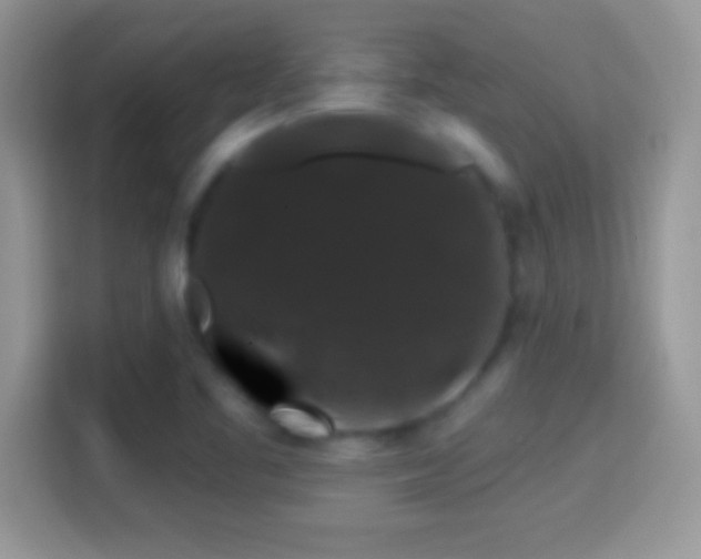 X0000116011461200911251111