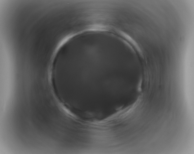 X0000116011463200911251111