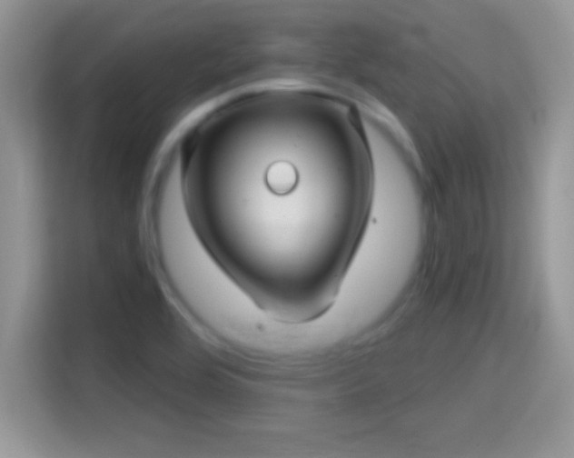 X0000116011464200911251111