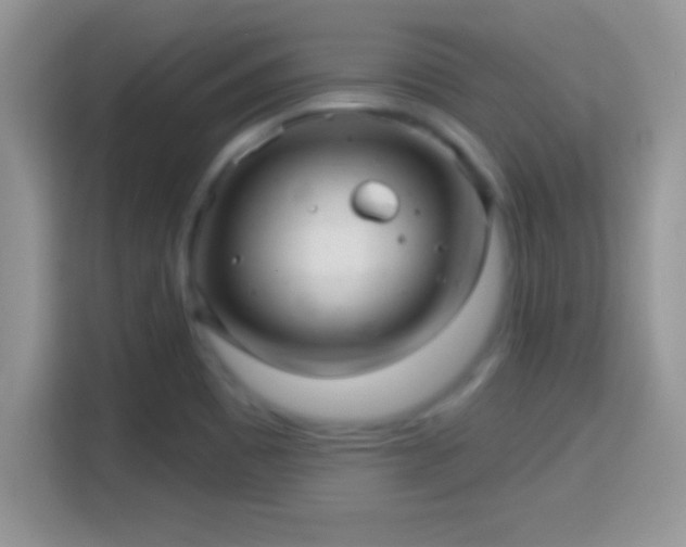 X0000116011465200911251110