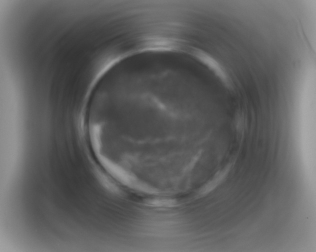 X0000116011466200911251110