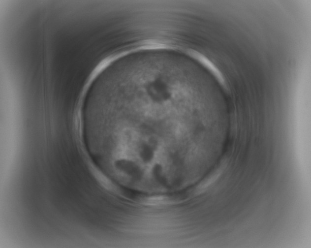 X0000116011467200911251110