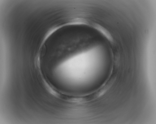 X0000116011468200911251110