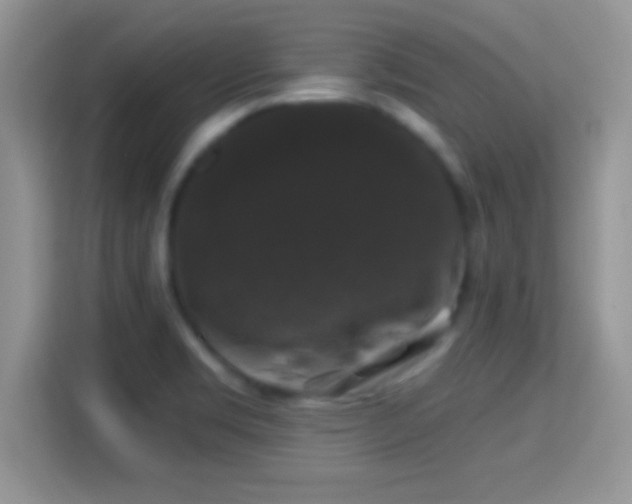 X0000116011469200911251110