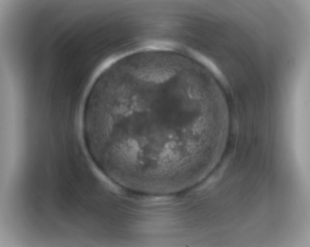 X0000116011471200911251110