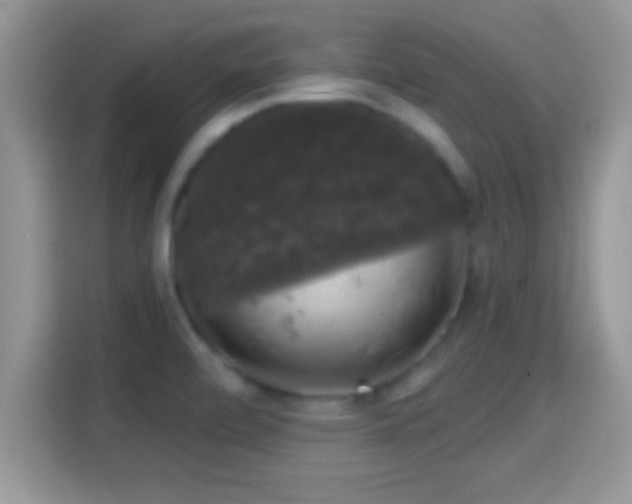 X0000116011472200911251110