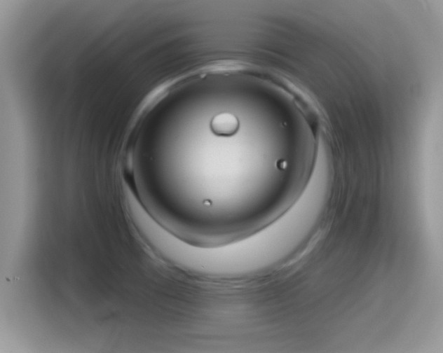 X0000116011473200911251110