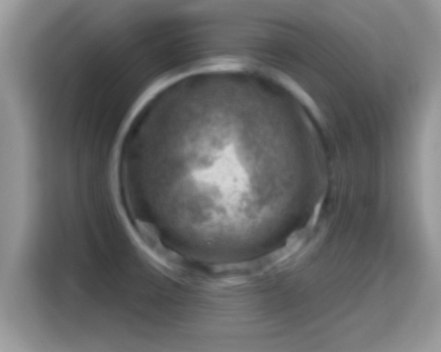 X0000116011475200911251110