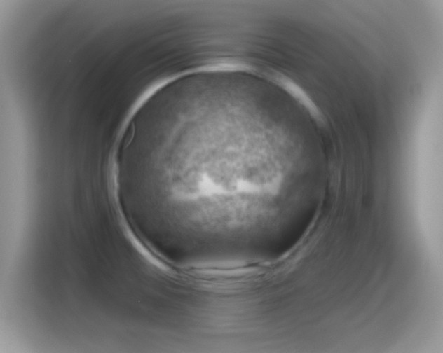 X0000116011476200911251110