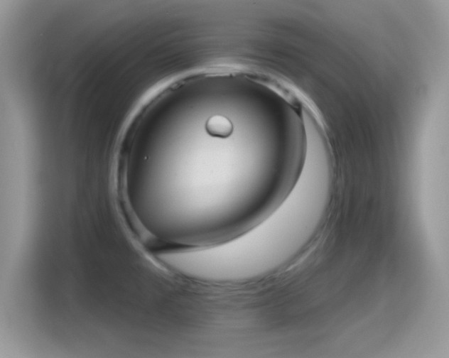 X0000116011477200911251110