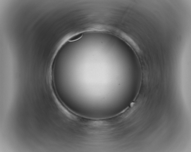 X0000116011479200911251110