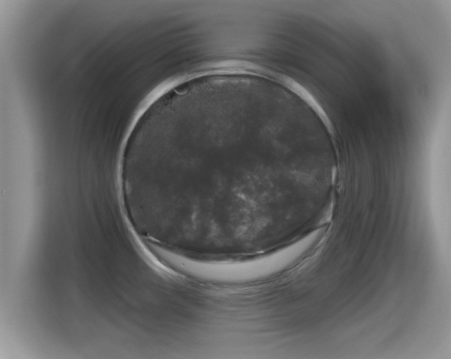 X0000116011482200911251110