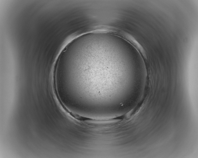 X0000116011483200911251110