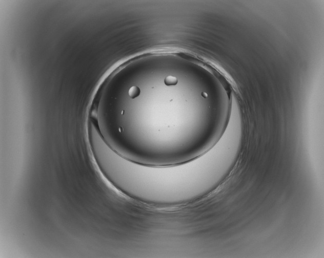 X0000116011484200911251110