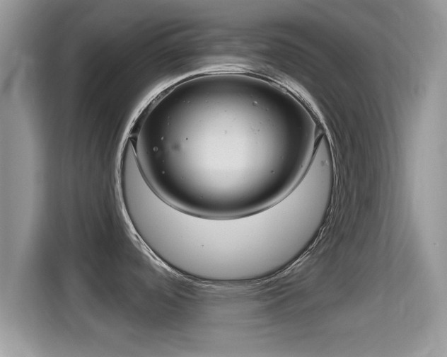 X0000116011488200911251110