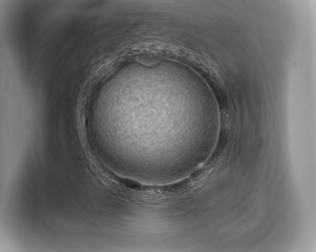 X0000116011489200911251110