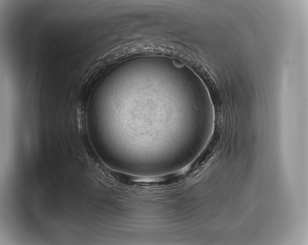 X0000116011490200911251110