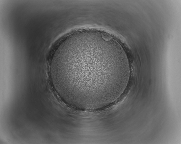 X0000116011494200911251110