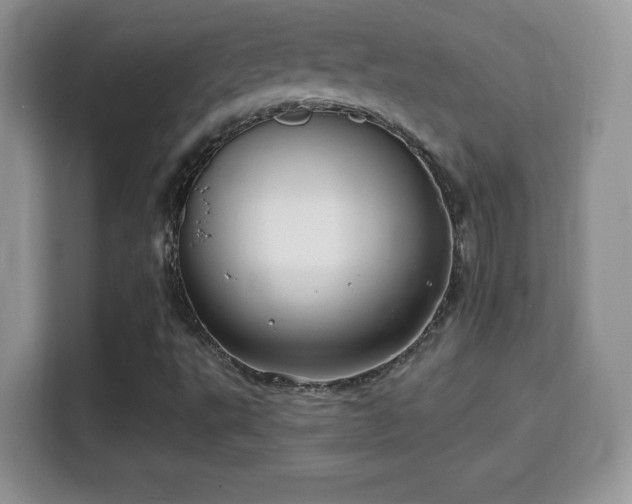 X0000116011495200911251110