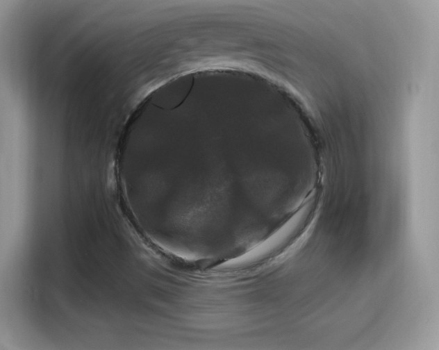 X0000116011497200911251110