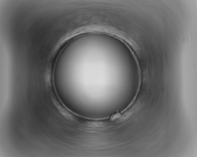 X0000116011499200911251110