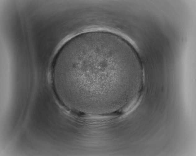 X0000116011501200911251110
