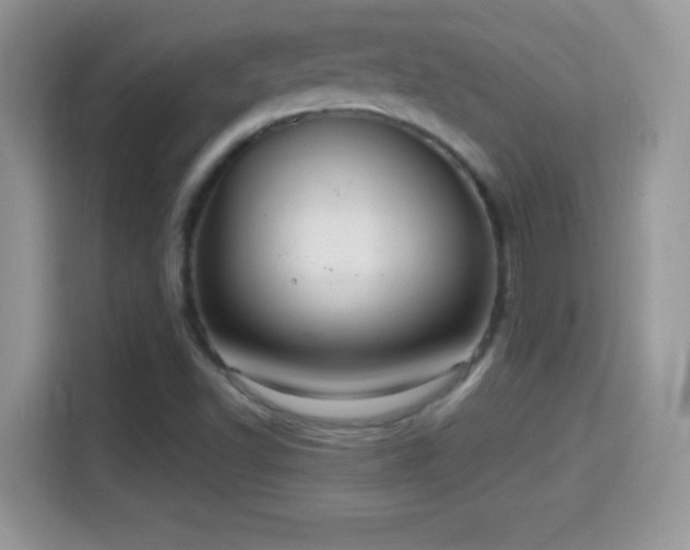 X0000116011502200911251110