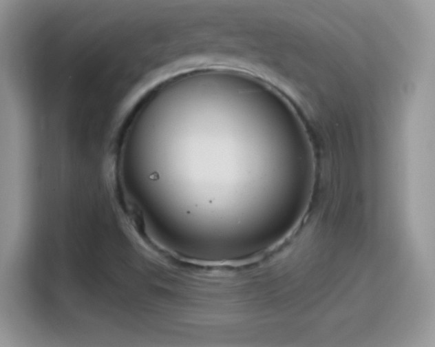 X0000116011503200911251110