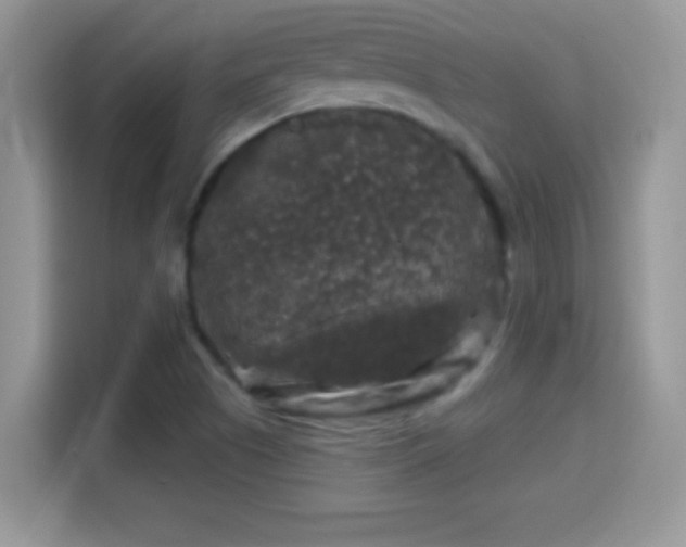 X0000116011505200911251110