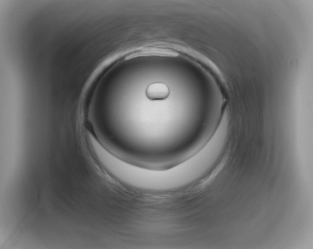X0000116011506200911251110