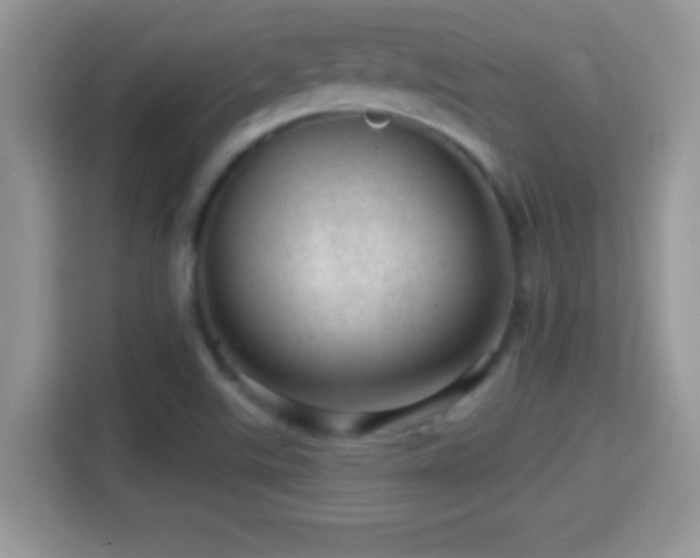 X0000116011507200911251110