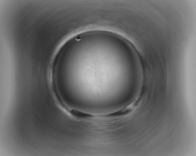 X0000116011511200911251110