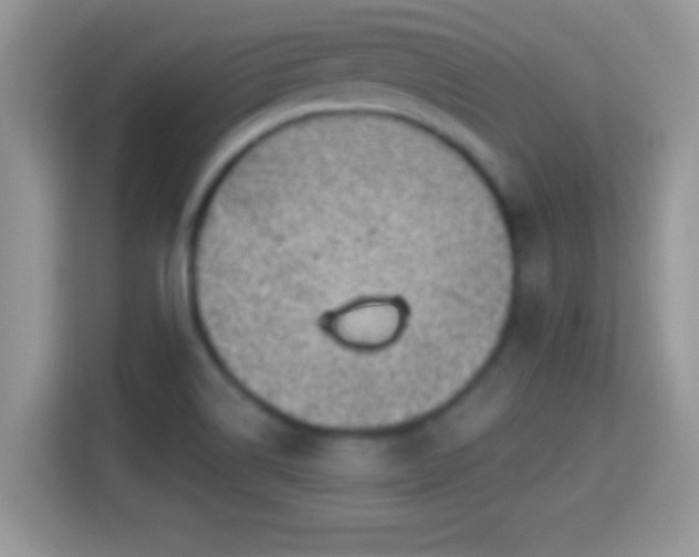 X0000116011514200911251110