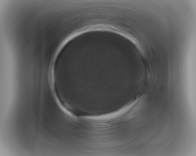 X0000116011515200911251110