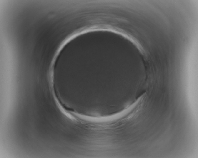X0000116011519200911251110