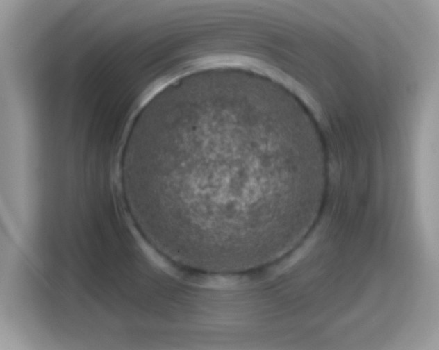 X0000116011521200911251110
