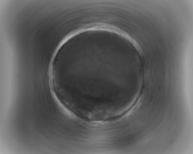 X0000116011522200911251110